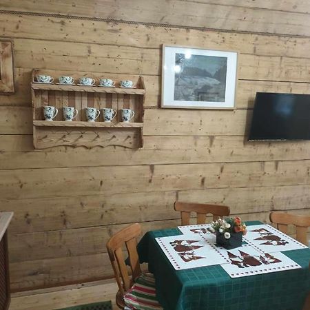 Willa Konradowka - Apartamenty Debowy, Klonowy, Kosowka I Limba Zakopane Kültér fotó
