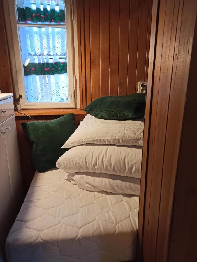 Willa Konradowka - Apartamenty Debowy, Klonowy, Kosowka I Limba Zakopane Kültér fotó